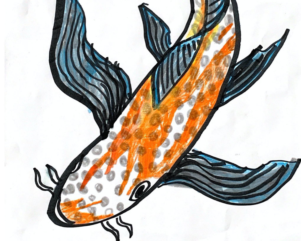 Illustration of a koi.