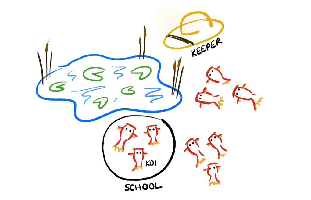 Sketch of a Koi Pond. Koi are grouped together as a school and a hat with the description of "Keeper" is at the edge of the pond.