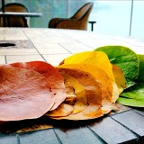 Magnolia leaves in colors shading from red through orange and yellow and then to green, laid out on a table.